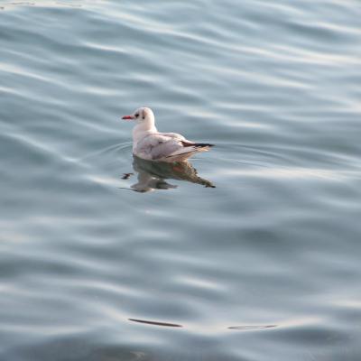Img 9661