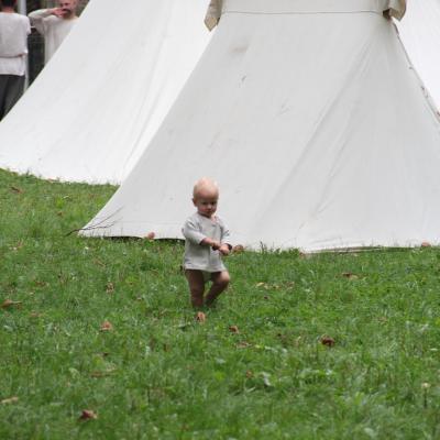 Img 0239